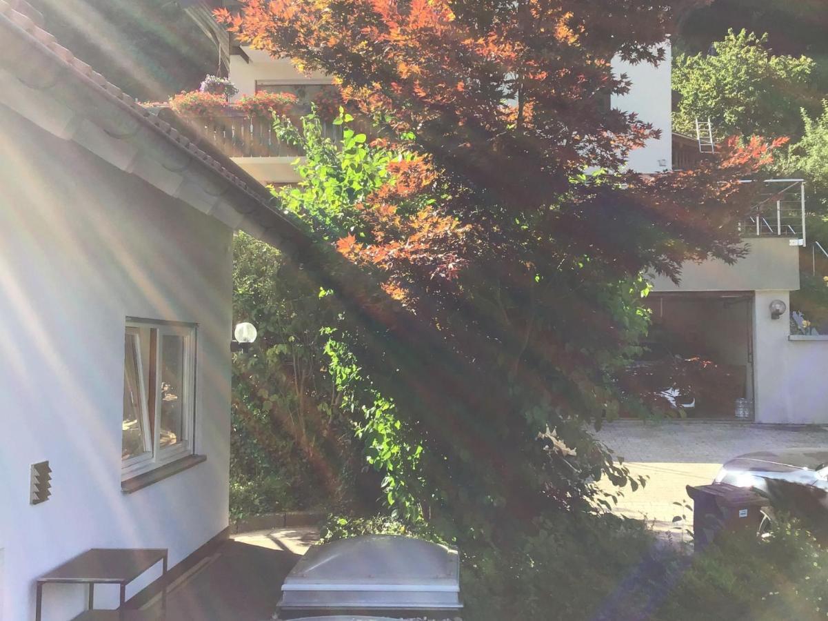 Ferienwohnung Am Eiberg Bad Wildbad Εξωτερικό φωτογραφία